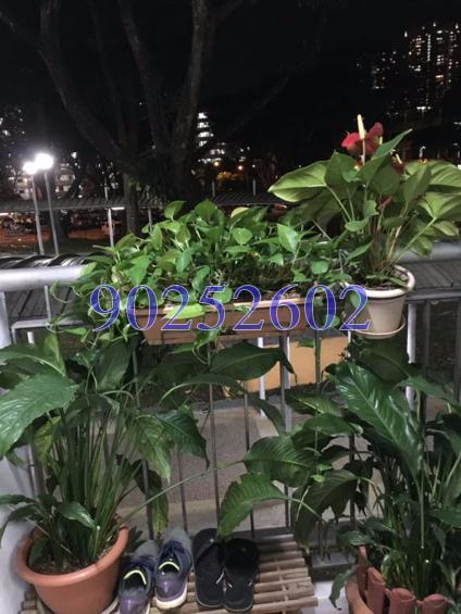 Blk 111 Commonwealth Crescent (Queenstown), HDB 3 Rooms #152020692